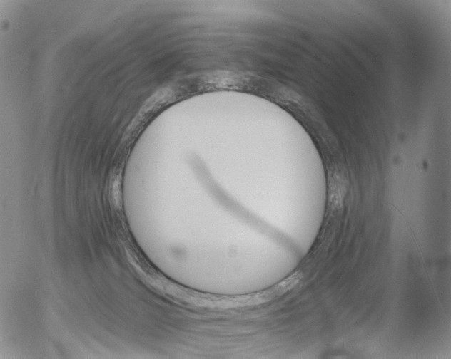 X0000054400036200507290843