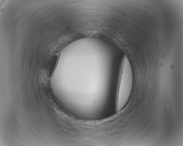 X0000054400037200507290843
