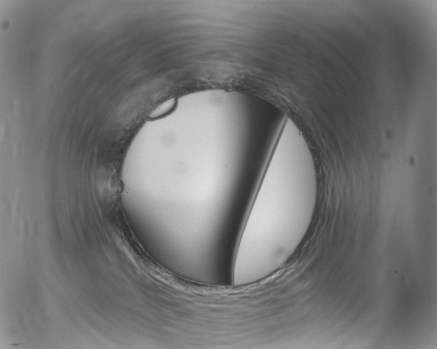 X0000054400040200507290842