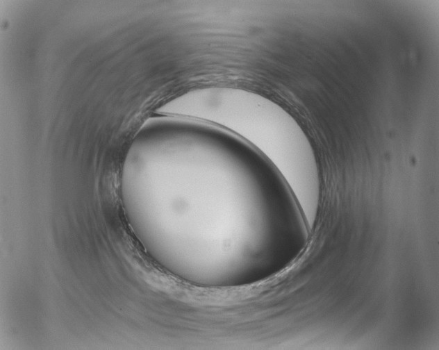 X0000054400045200507290842
