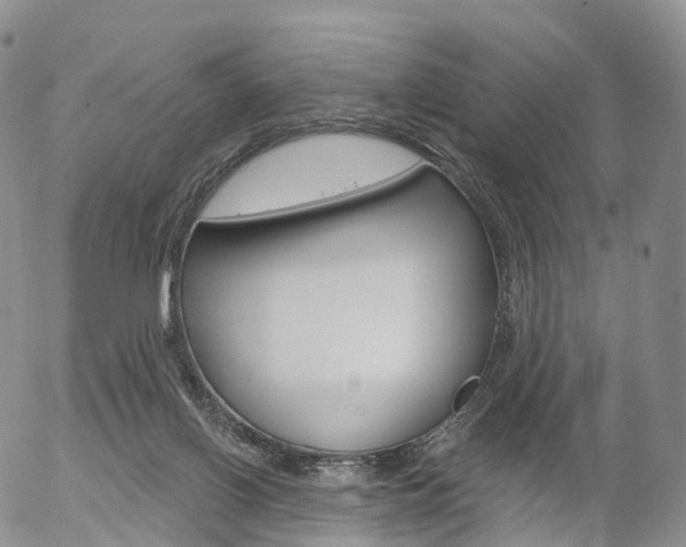 X0000054400070200507290842
