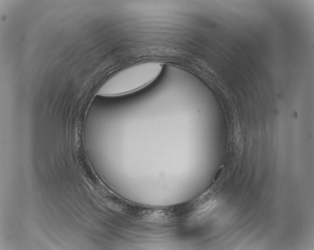 X0000054400074200507290842