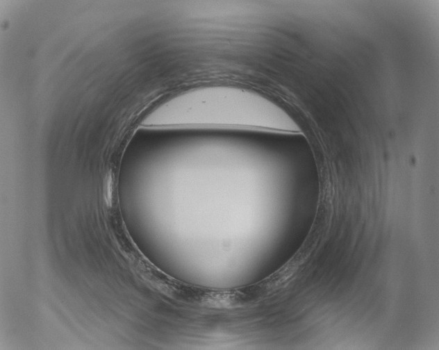 X0000054400076200507290842