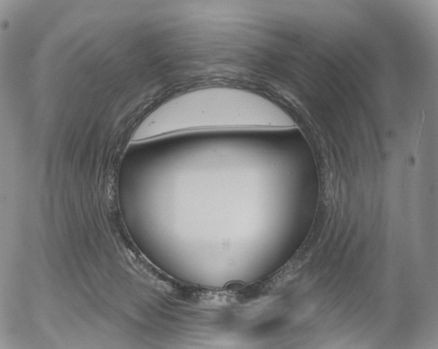 X0000054400077200507290842
