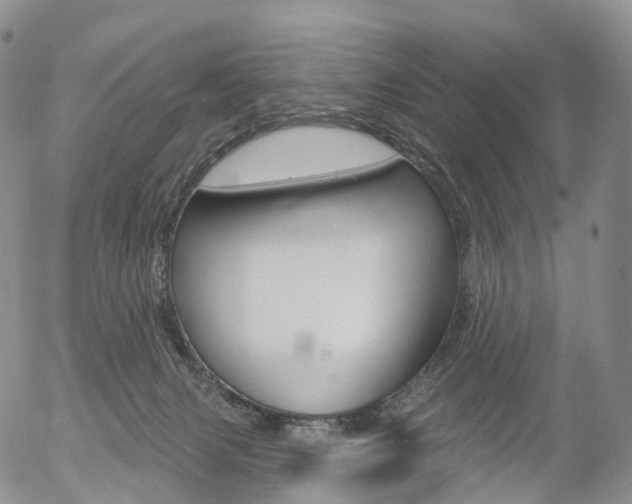 X0000054400079200507290842
