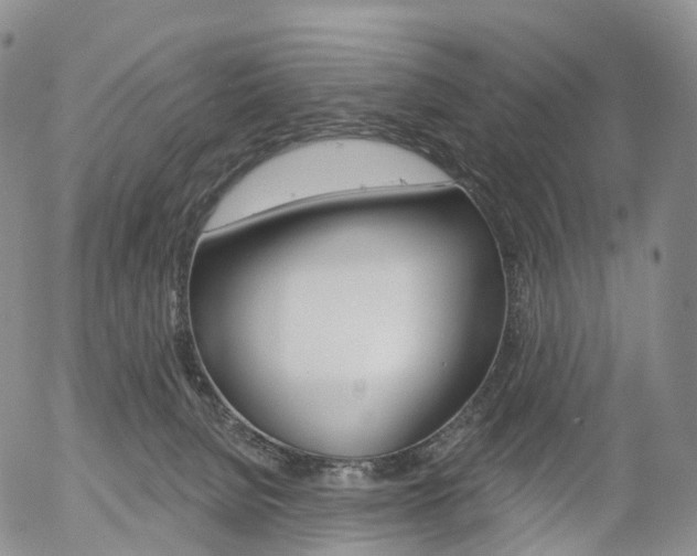 X0000054400080200507290842