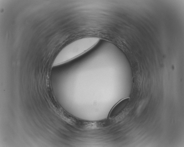 X0000054400083200507290842