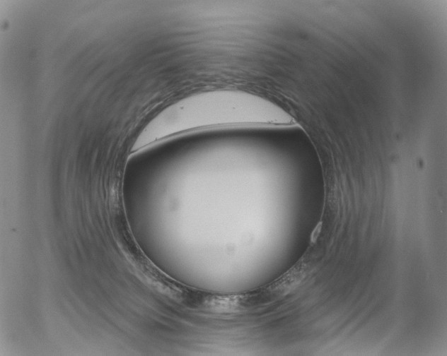 X0000054400084200507290842