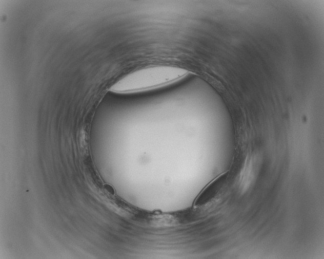 X0000054400087200507290842