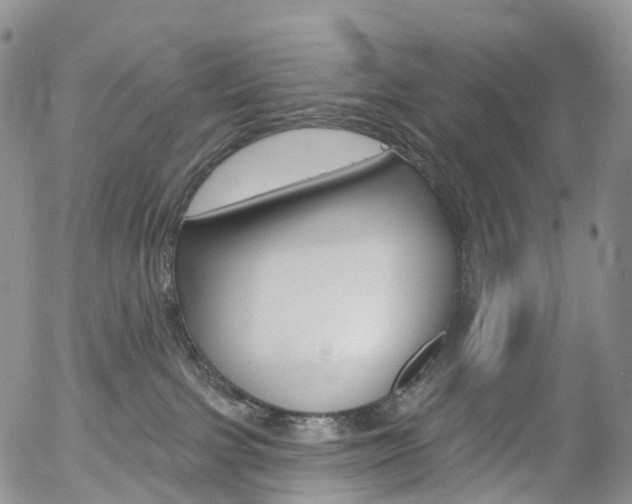 X0000054400091200507290842