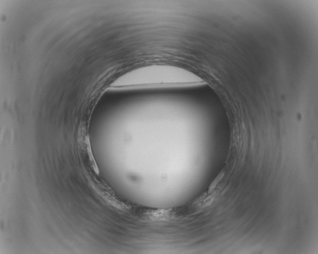 X0000054400092200507290842