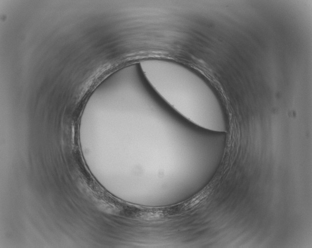 X0000054400110200507290841