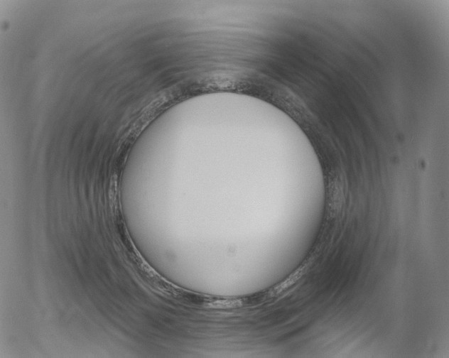 X0000054400126200507290841