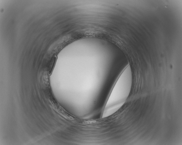 X0000054400137200507290841