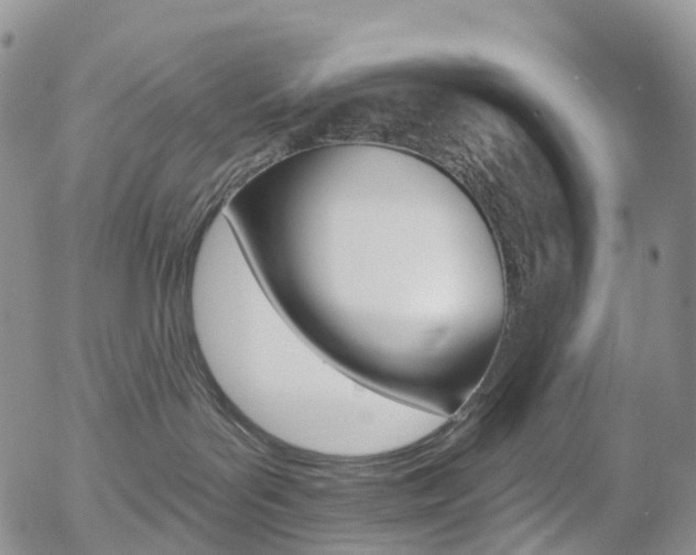 X0000054400143200507290841