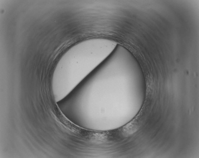 X0000054400166200507290840