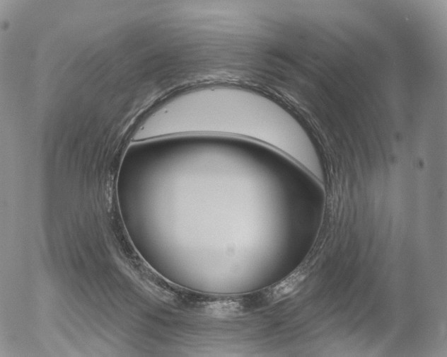 X0000054400168200507290840