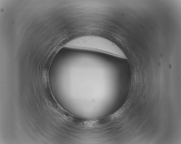 X0000054400172200507290840