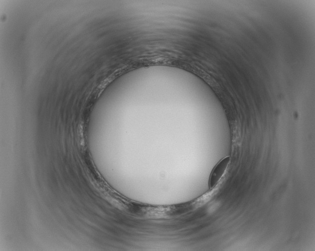 X0000054400182200507290841