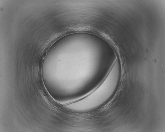 X0000054400201200507290840