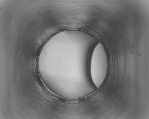 X0000054400206200507290840