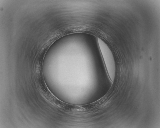 X0000054400215200507290840