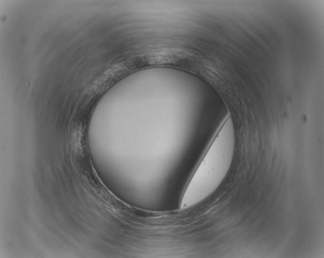 X0000054400219200507290840
