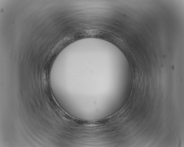 X0000054400220200507290840