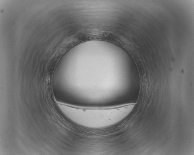 X0000054400225200507290839