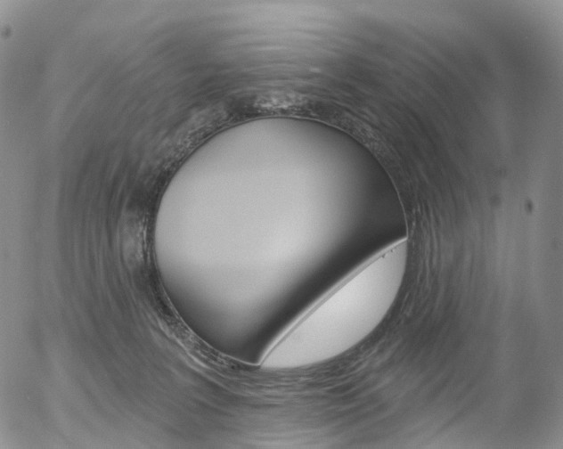 X0000054400227200507290839