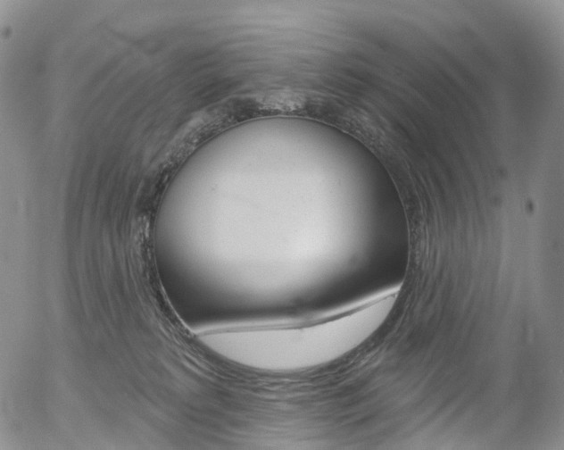 X0000054400229200507290839