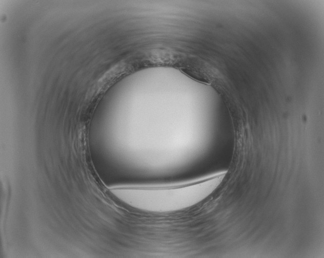 X0000054400233200507290839