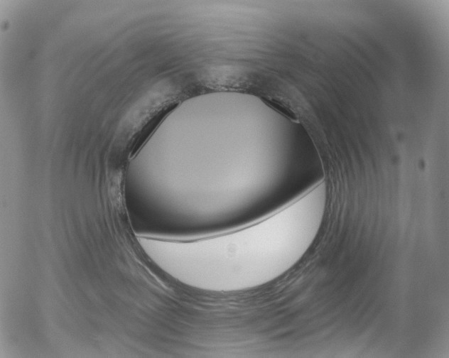 X0000054400239200507290839