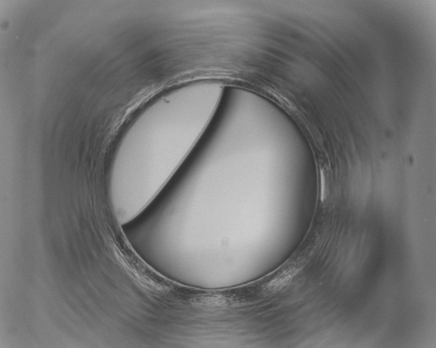 X0000054400253200507290839