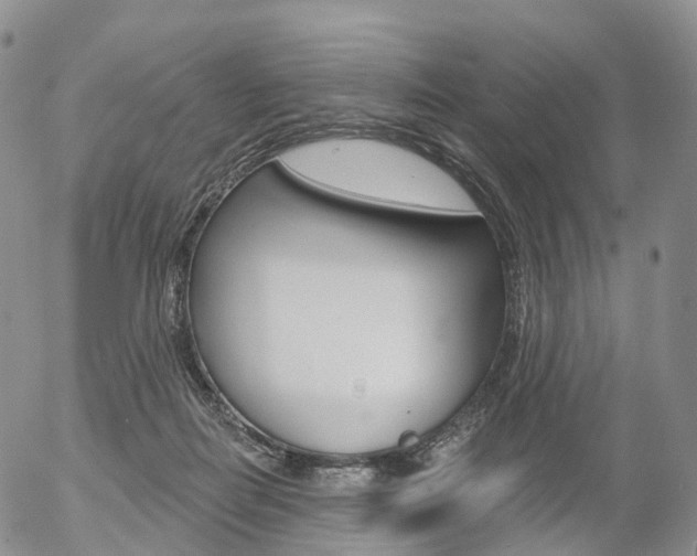 X0000054400266200507290839