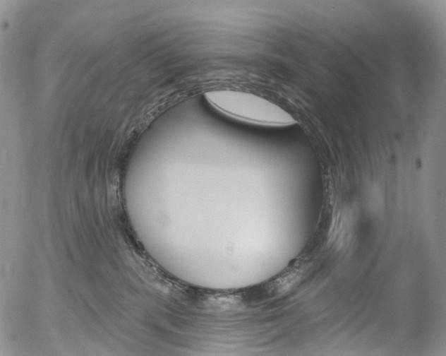 X0000054400283200507290839
