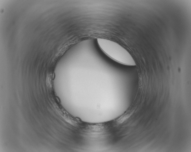 X0000054400286200507290839