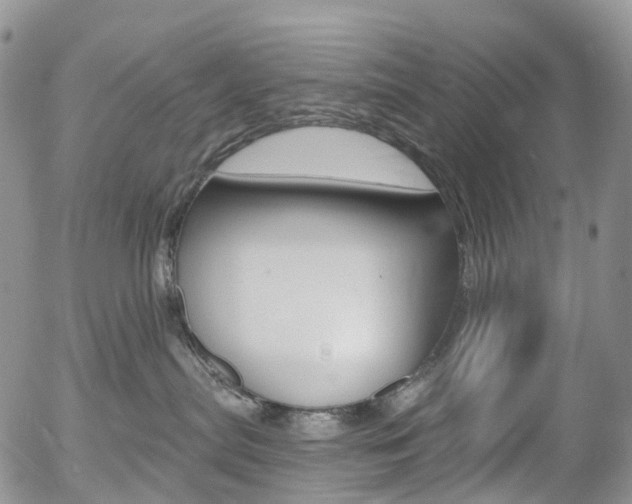 X0000054400287200507290839