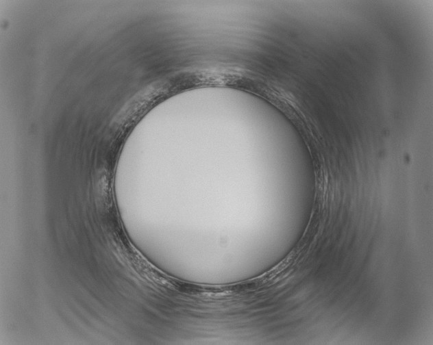 X0000054400314200507290838