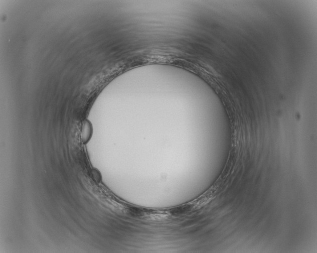 X0000054400318200507290838