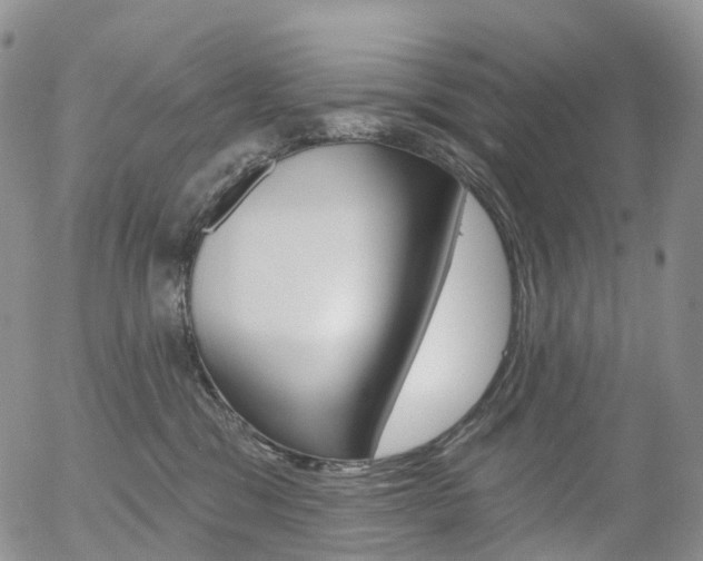 X0000054400329200507290838