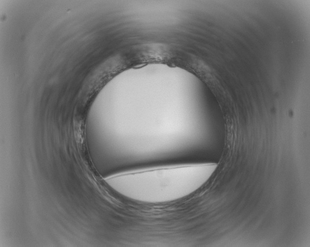 X0000054400331200507290838