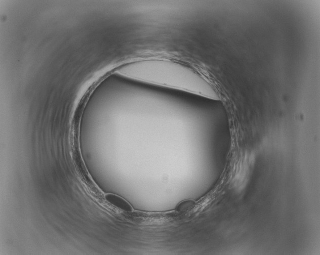 X0000054400342200507290837