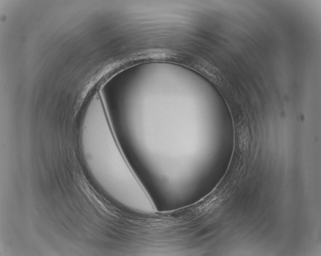 X0000054400350200507290837