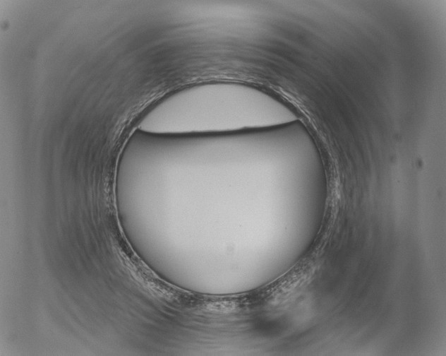 X0000054400353200507290837