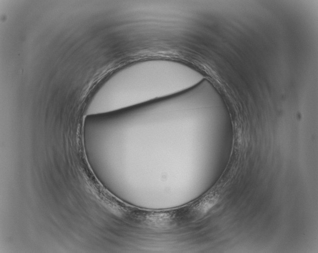 X0000054400357200507290837