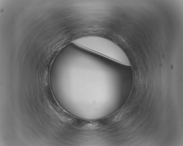 X0000054400364200507290837