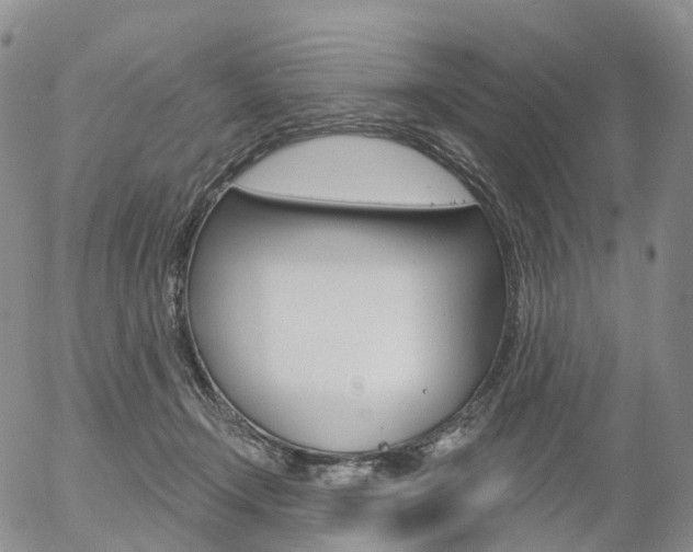 X0000054400366200507290837