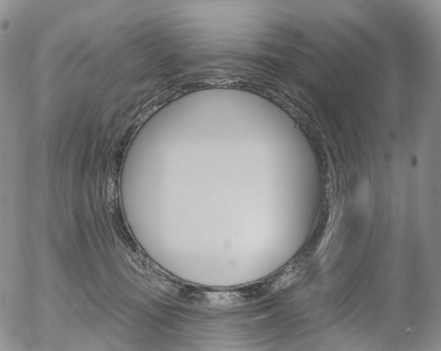X0000054400371200507290837