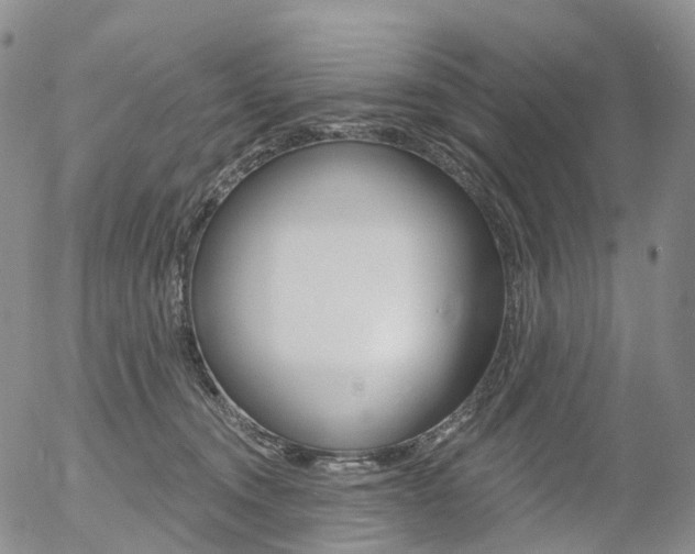 X0000054400372200507290837